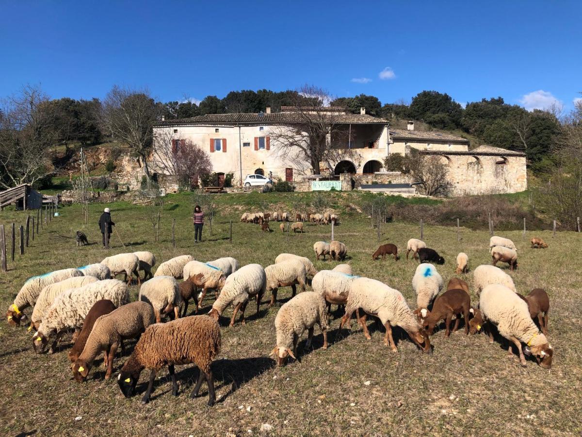 Gites La Ferme Accrochee A La Colline Lagorce  Exterior photo